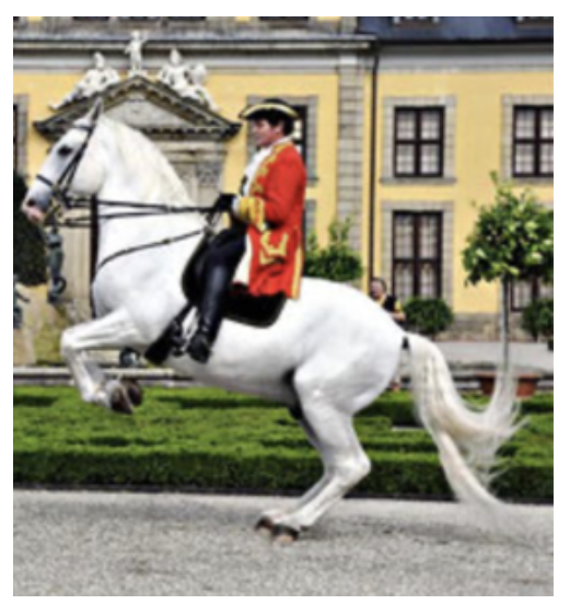 Richard Hinrichs Lehrgang 12.:13.10.24 copy